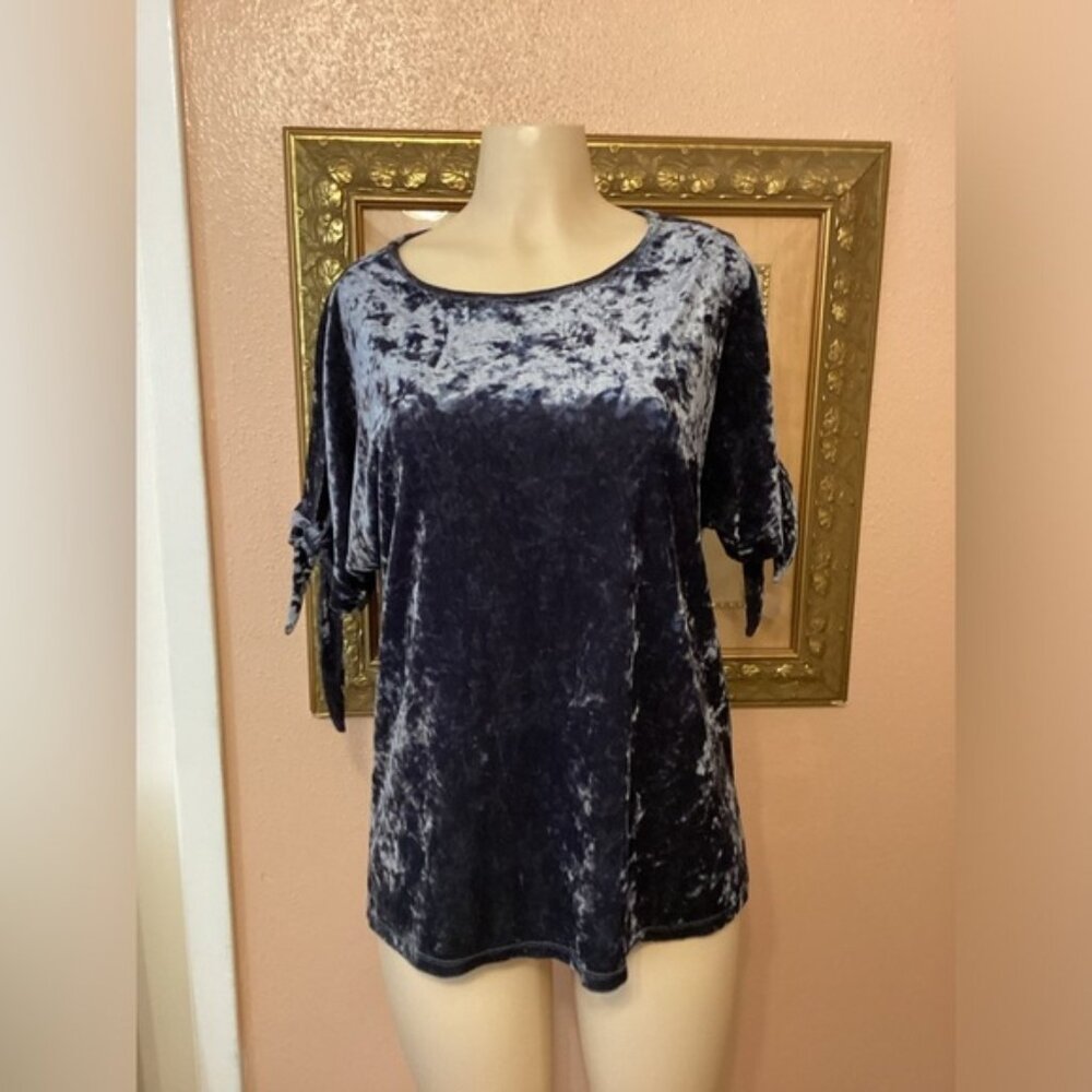 Kim & Cami Blue Velvet Large Blouse